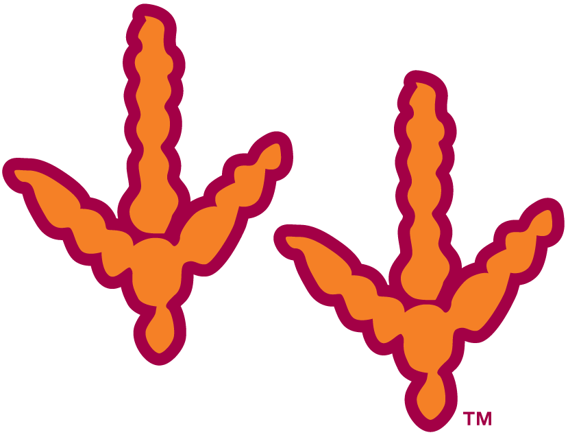 Virginia Tech Hokies 2000-Pres Alternate Logo v2 diy iron on heat transfer